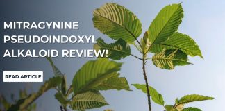 Mitragynine Pseudoindoxyl Alkaloid Review!