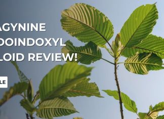 Mitragynine Pseudoindoxyl Alkaloid Review!