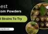 Best Kratom Powders And Strains