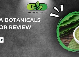 Kanva Botanicals Vendor Review