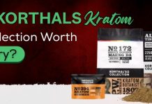 Korthals Collection
